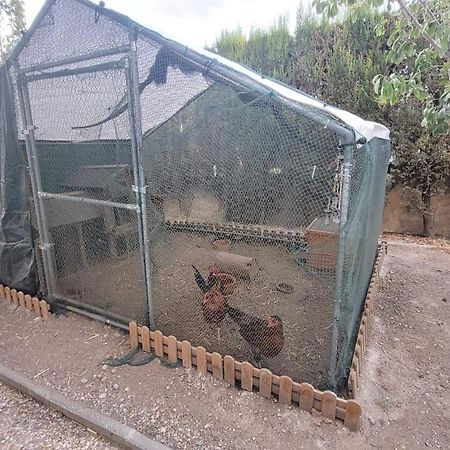 Casita De Invitados En Otura 외부 사진